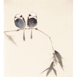 Other Birds - CNAG006778