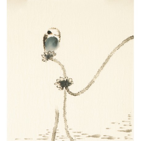 Other Birds - CNAG006779