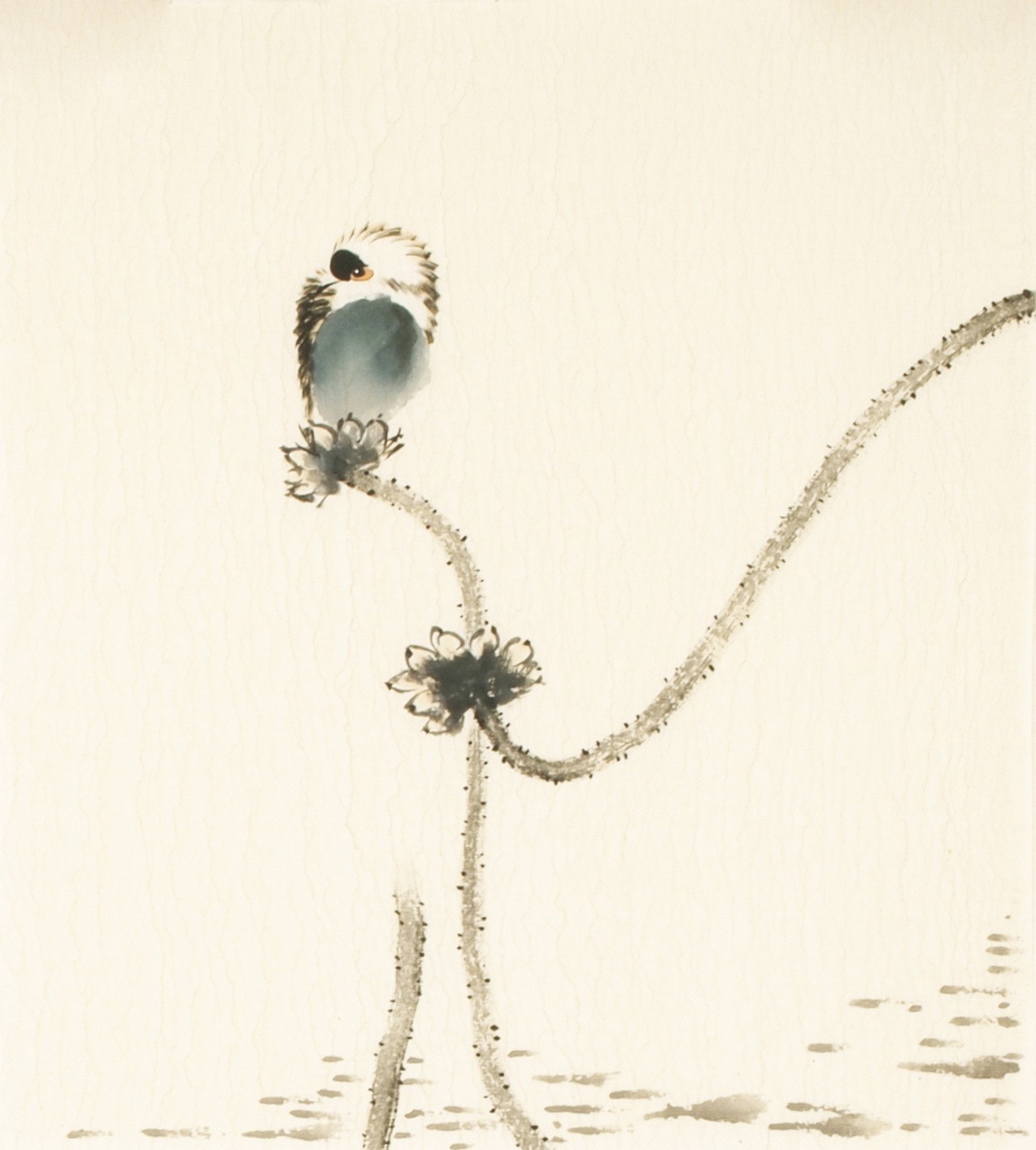 Other Birds - CNAG006779