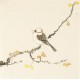 Other Birds - CNAG006780