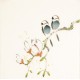 Other Birds - CNAG006782