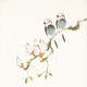 Other Birds - CNAG006783