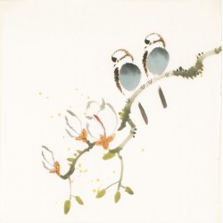 Other Birds - CNAG006783