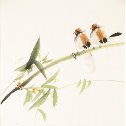 Other Birds - CNAG006784