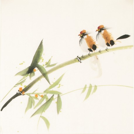 Other Birds - CNAG006784