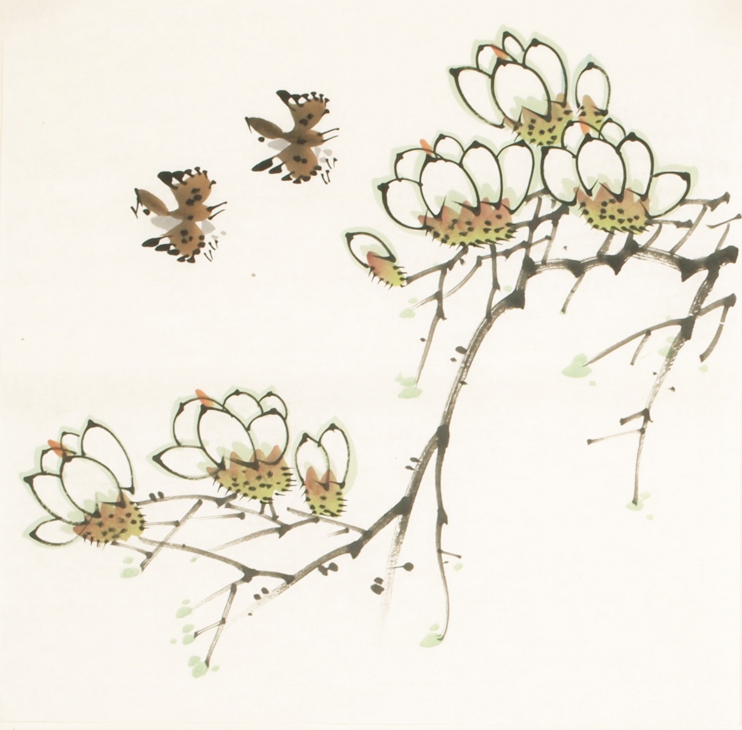 Other Birds - CNAG006785