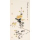 Chrysanthemum - CNAG000679