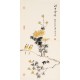 Chrysanthemum - CNAG000679