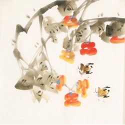 Other Birds - CNAG006789