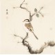 Other Birds - CNAG006791