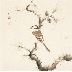 Other Birds - CNAG006791