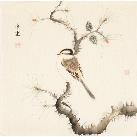Other Birds - CNAG006791