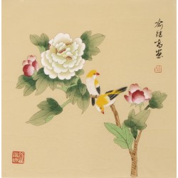 Peony - CNAG006793