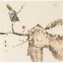 Other Birds - CNAG006798