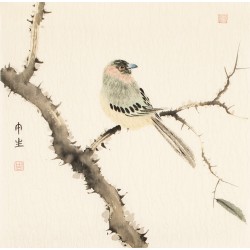Other Birds - CNAG006799