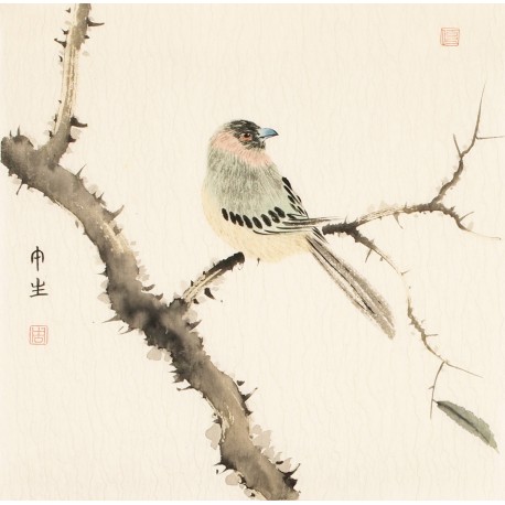 Other Birds - CNAG006799