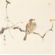 Other Birds - CNAG006800