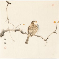 Other Birds - CNAG006800
