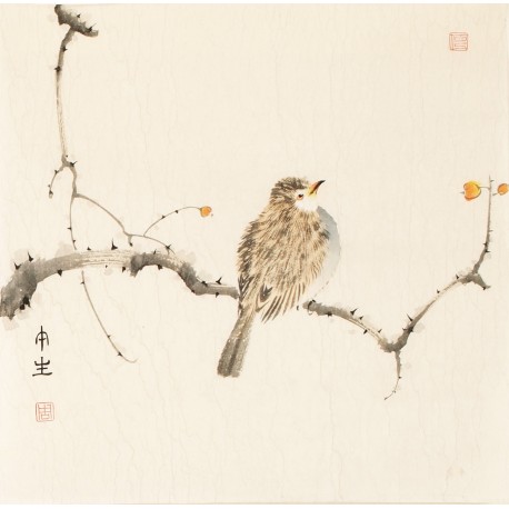 Other Birds - CNAG006800