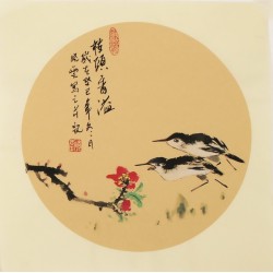 Other Birds - CNAG006805