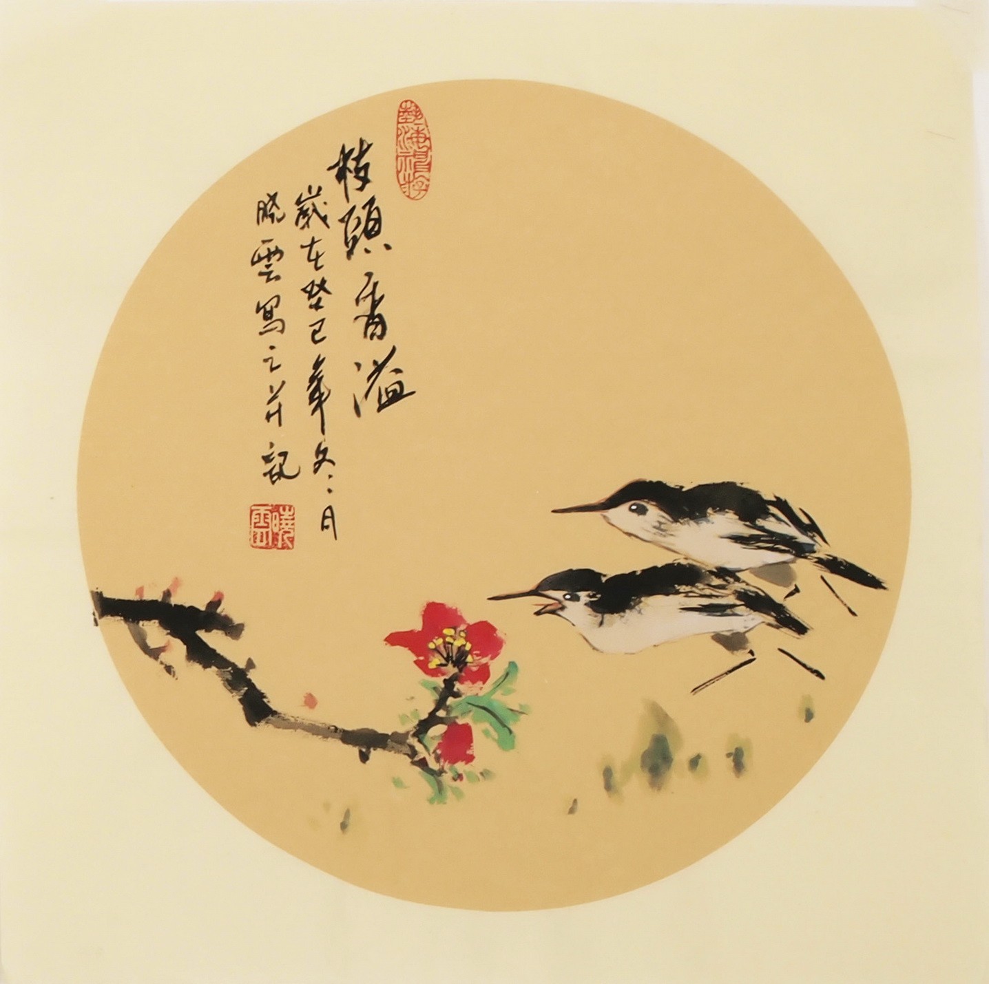Other Birds - CNAG006805