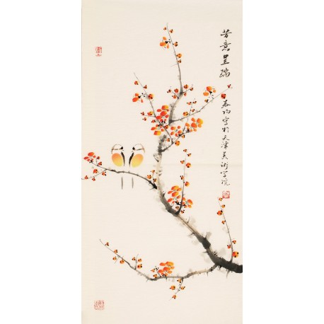 Plum - CNAG000681