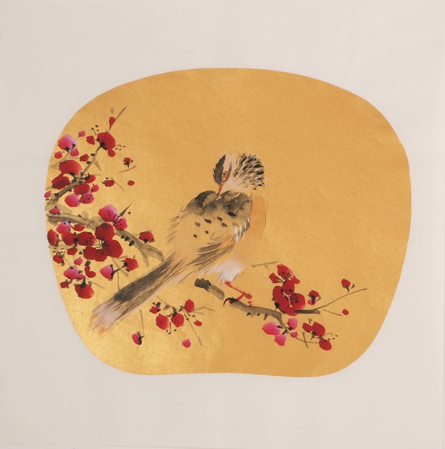 Plum - CNAG006807