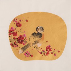 Plum - CNAG006810