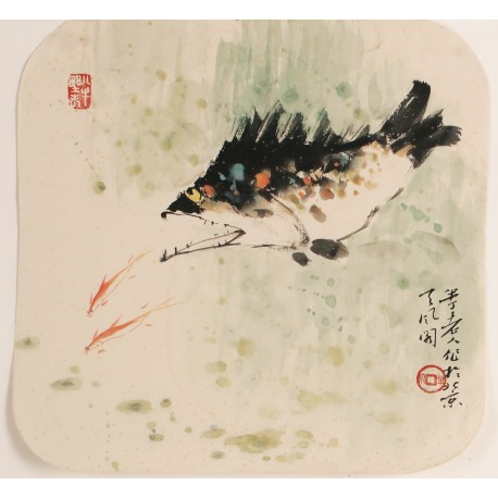 Fish - CNAG006814