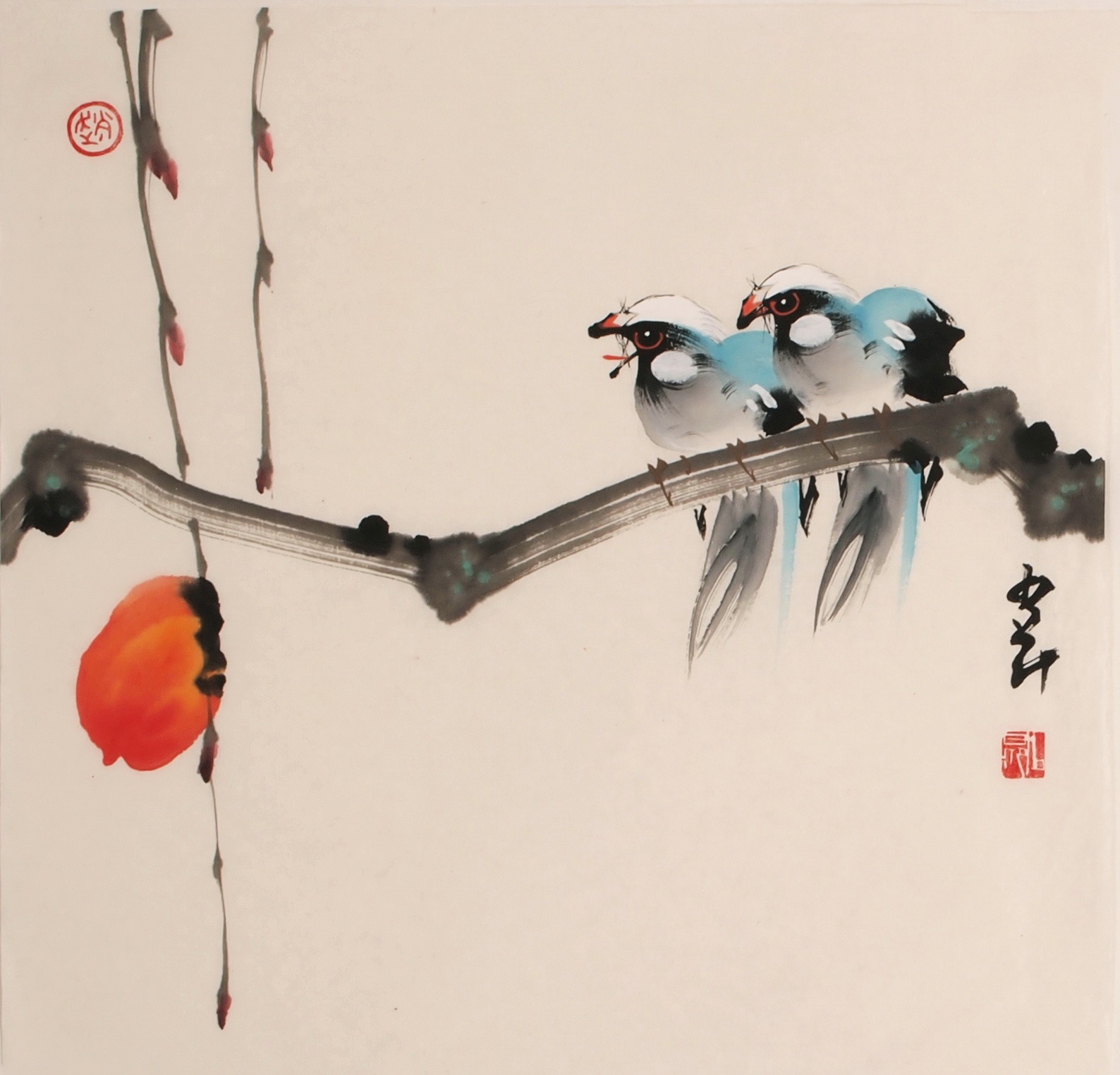 Other Birds - CNAG006816