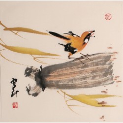 Other Birds - CNAG006818