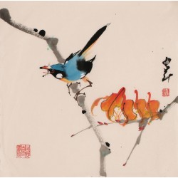 Other Birds - CNAG006821