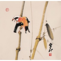 Other Birds - CNAG006822