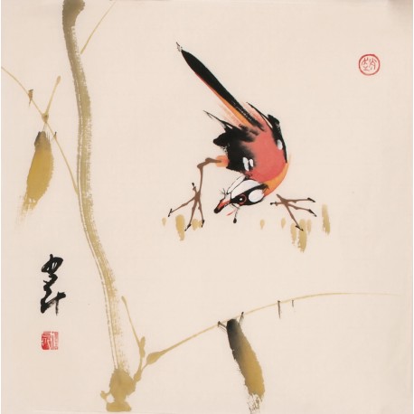 Other Birds - CNAG006823