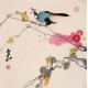 Other Birds - CNAG006825