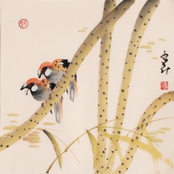 Other Birds - CNAG006826