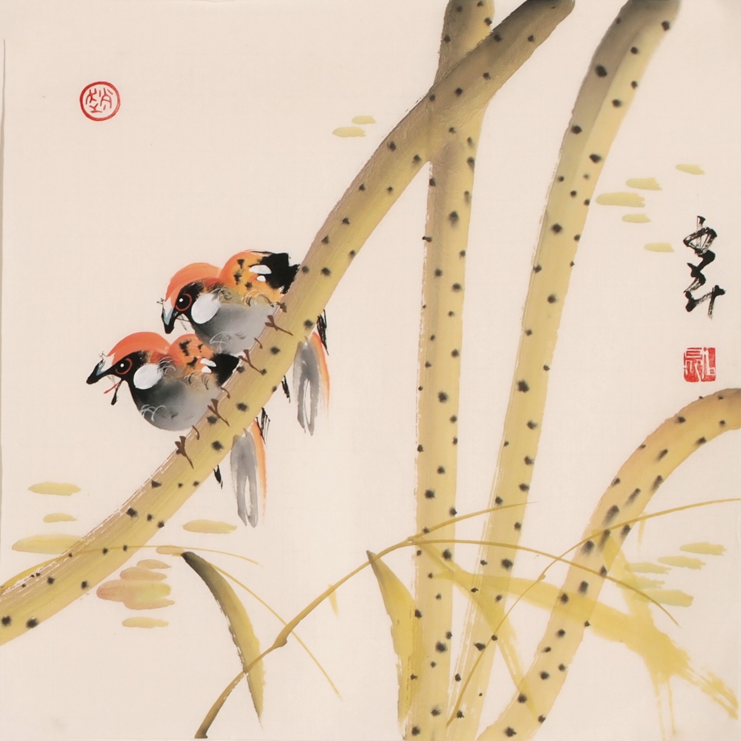 Other Birds - CNAG006826