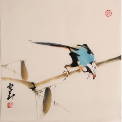 Other Birds - CNAG006827