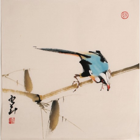 Other Birds - CNAG006827