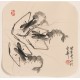 Shrimp - CNAG006828