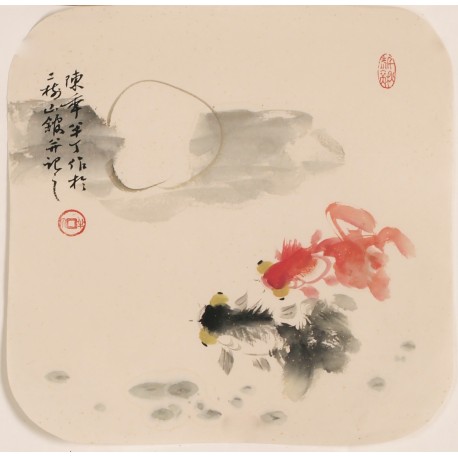 Fish - CNAG006829