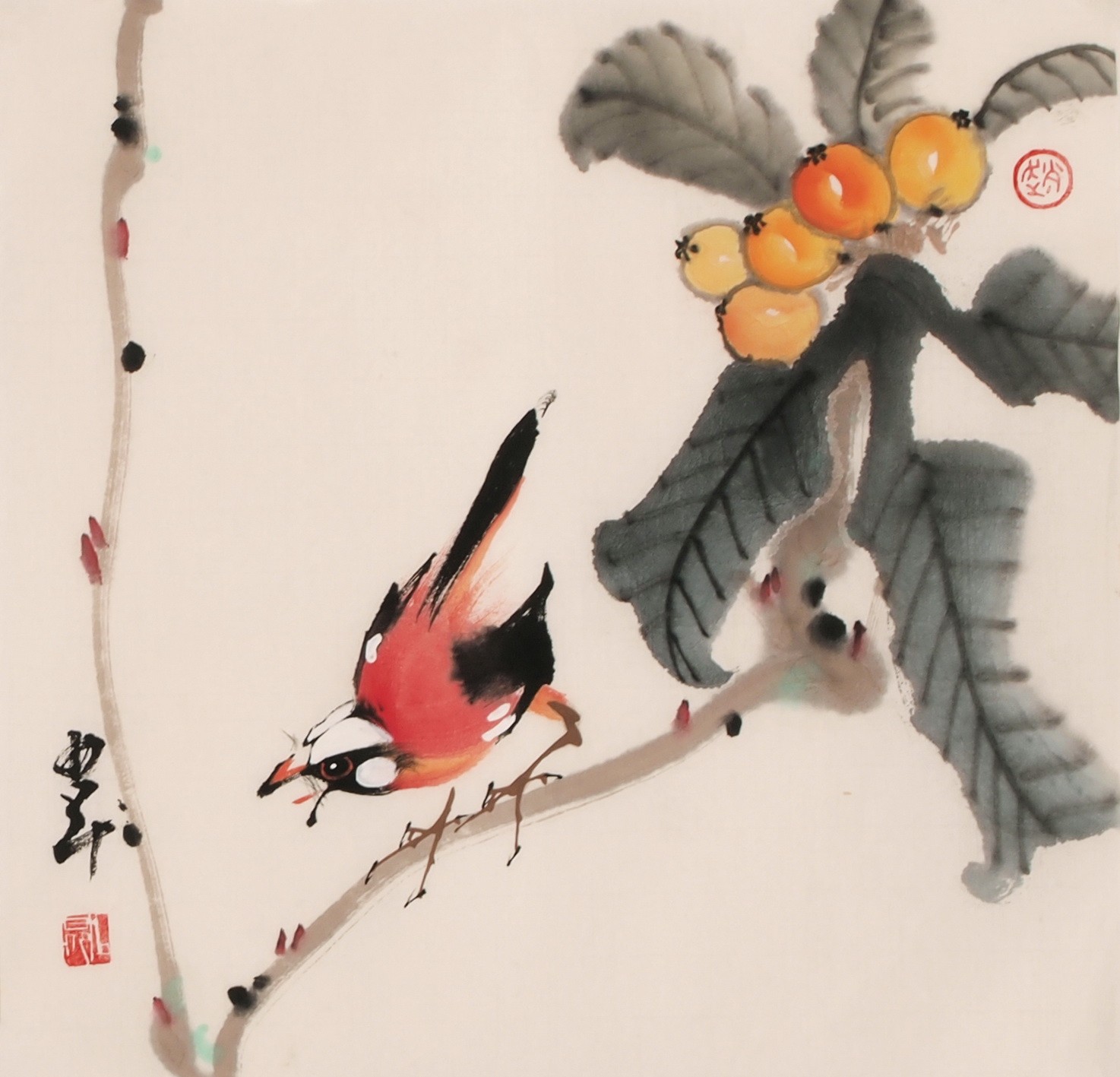 Other Birds - CNAG006830