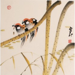 Other Birds - CNAG006832