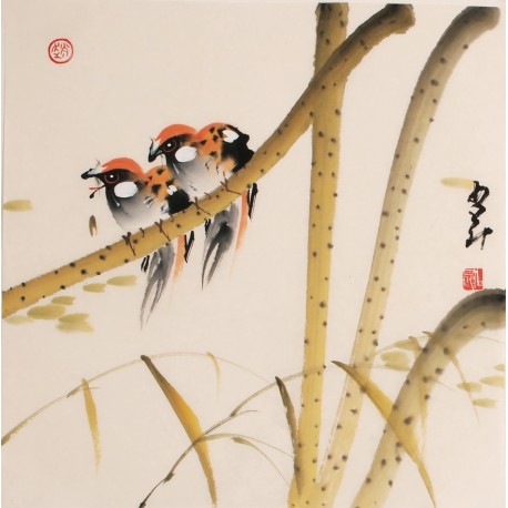 Other Birds - CNAG006832
