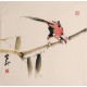 Other Birds - CNAG006833