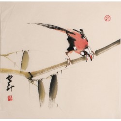 Other Birds - CNAG006833