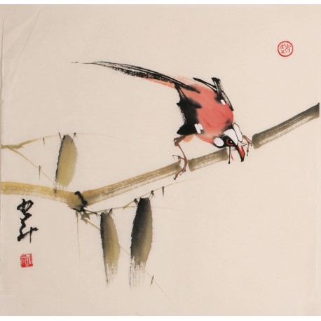 Other Birds - CNAG006833