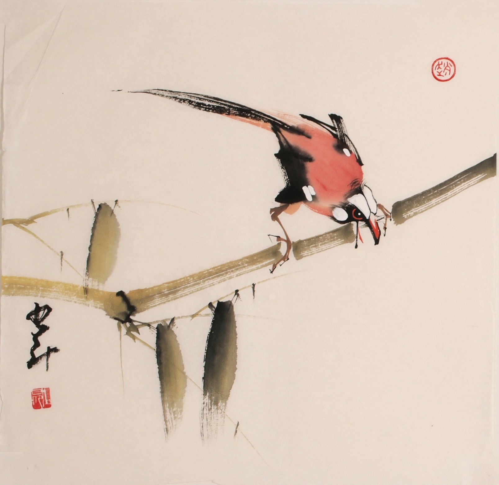 Other Birds - CNAG006833