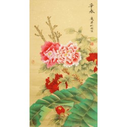 Peony - CNAG000684