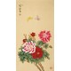 Peony - CNAG000685